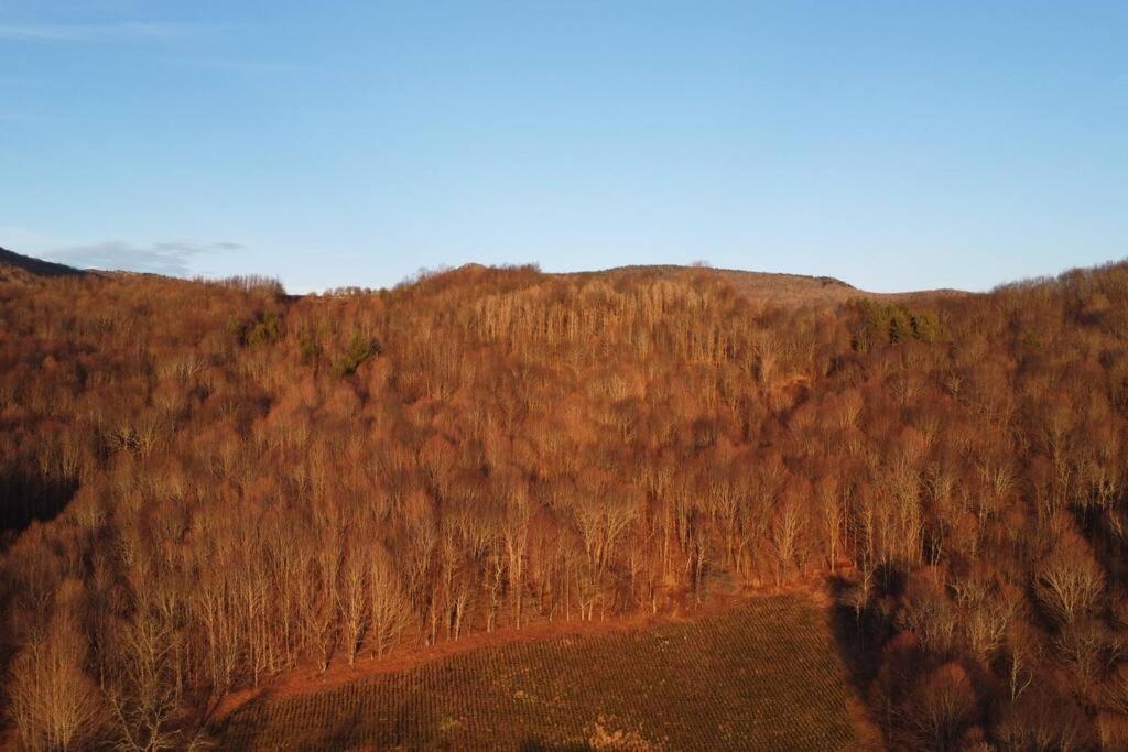 Holiday home Cozy Near Grayson Highlands State Park *